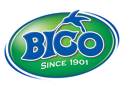 https://barbadosninjathrowdown.com/wp-content/uploads/2026/02/bico-logo-1901-02-SM.png